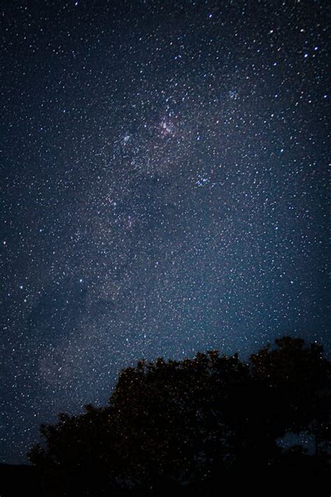 Silhouettes Of Trees Under Starry Night Sky · Free Stock Photo