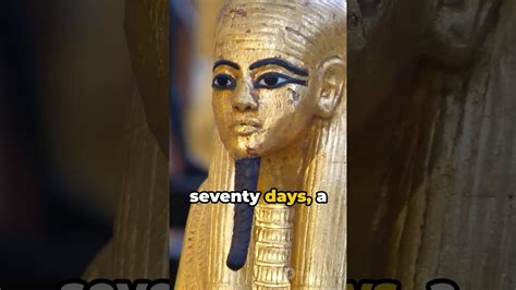 Unwrapping Secrets Fascinating Facts About Egyptian Mummies Mummy