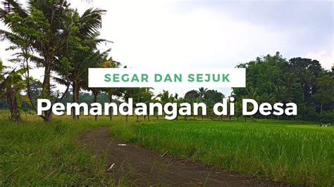 BIKIN KANGEN KAMPUNG HALAMAN SUASANA PAGI DI PEDESAAN YouTube