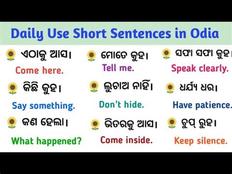 Daily Use Short Sentences In Odia Odia To English Translation