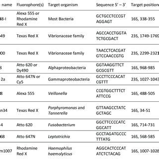 FISH probes used in this study | Download Table