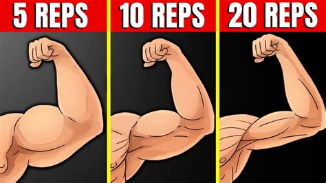 Combien de répétitions sont les meilleures pour développer les muscles