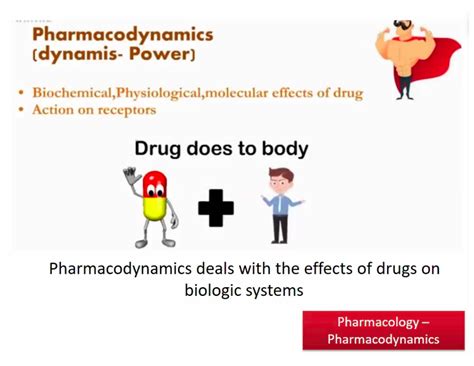 SOLUTION Drug Receptors Pharmacodynamics Studypool