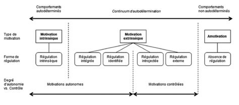 Motivation autodéterminée conséquences motivationnelles et hypothèse