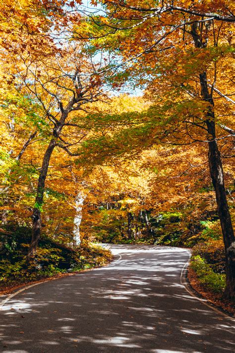 Smugglers Notch Fall Foliage-5 - Come Join My Journey