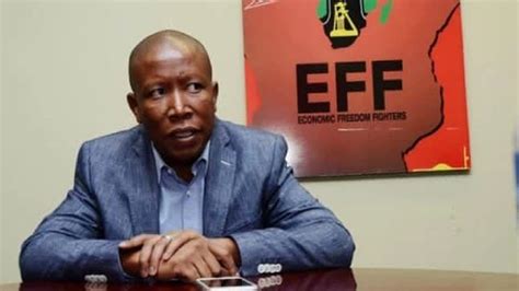 Julius Malema Car Accident: Everything we know about Incident