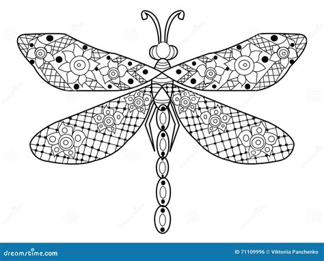 Dragonfly Coloring Vector For Adults Stock Vector Illustration Of