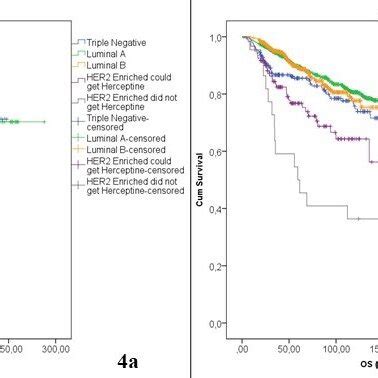 Survival Curve Of DFS A And OS B For TNBC Luminal A Luminal B