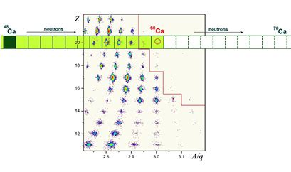 Msu Researchers Lead Team That Discovers Heaviest Known Calcium Atom