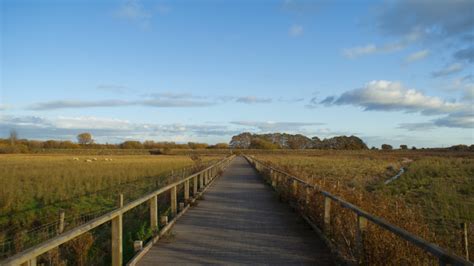 Burton Marshes Sony Dsc Ste Holland Flickr