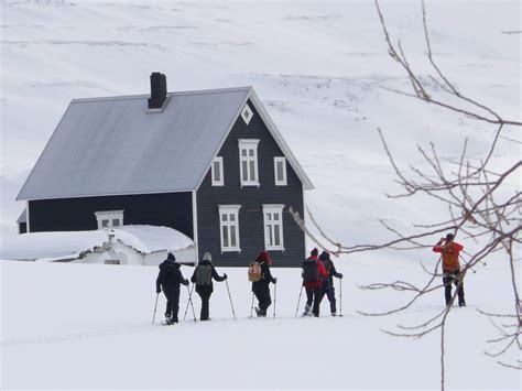 Reizen In IJsland Wild Van Het Hoge Noorden