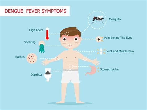 Understanding And Caring For Dengue Fever In Kids Aura Photography