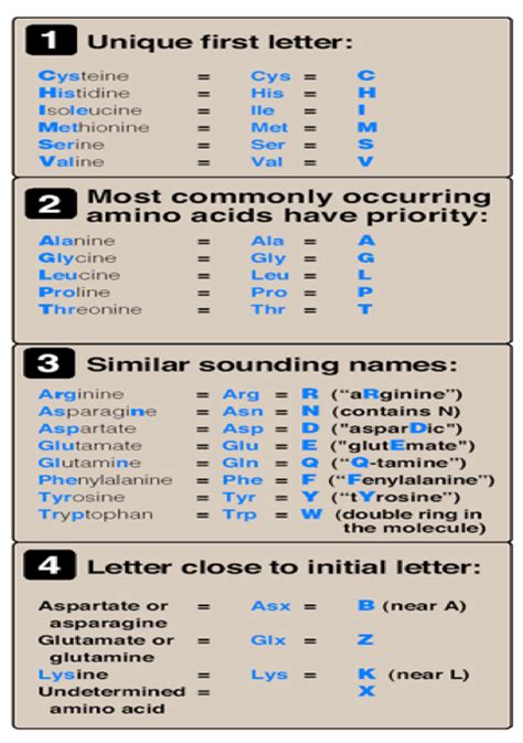 Amino Acid Abbreviations Chart