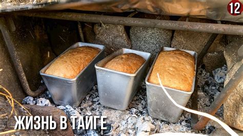 Жизнь в тайге. Больше хлеб не покупаем. Печь для хлеба в тайге своими ...