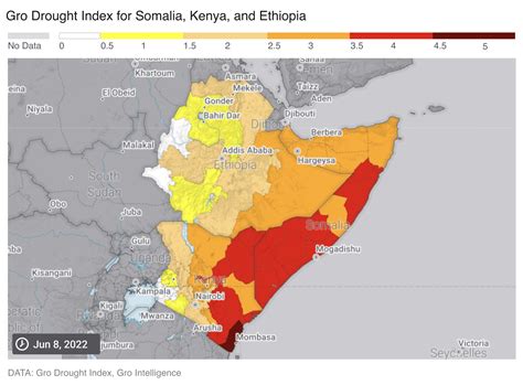 How Drought Will Impact Africas Crop Production A Gro Forecast Analysis