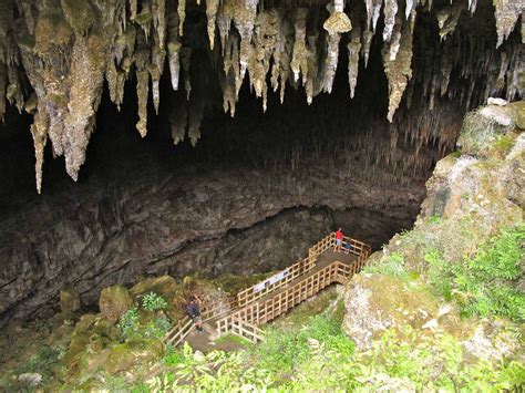 Rawhiti Cave, Takaka (A9) | Road trip, New zealand, Cave