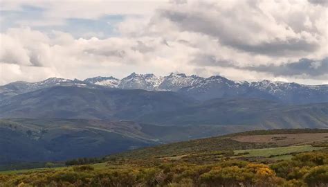 El Rbol De Los Buenosviajeros Descubrir Tours