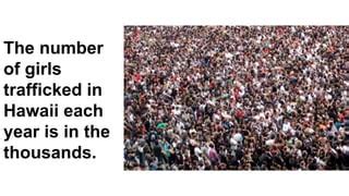 Sex Trafficking In Hawaii Pptx