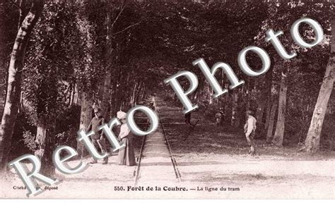 Cadeaux Photos Originaux Foret De La Coubre La Ligne De Tram Royan