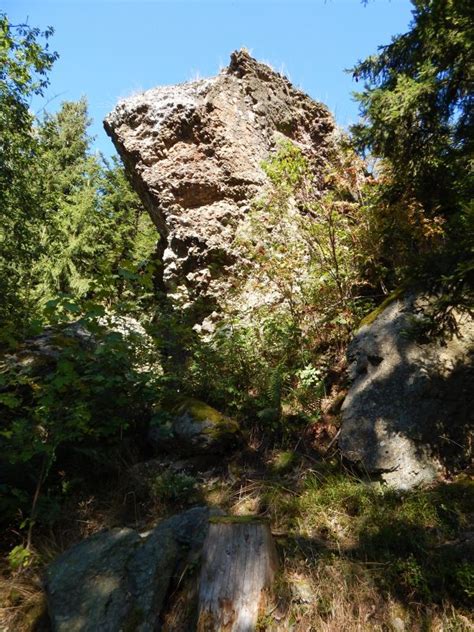 Free Images Tree Forest Rock Wilderness Trail Summer Formation