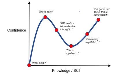 The Dunning-Kruger Effect: It’s Your Confidence, Stupid - Hustle Escape