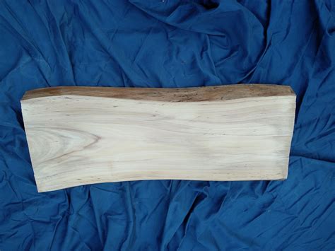 Elm Wood Live Edge Slab Wood Slab Raw Wood Slab Elm Slab | Etsy