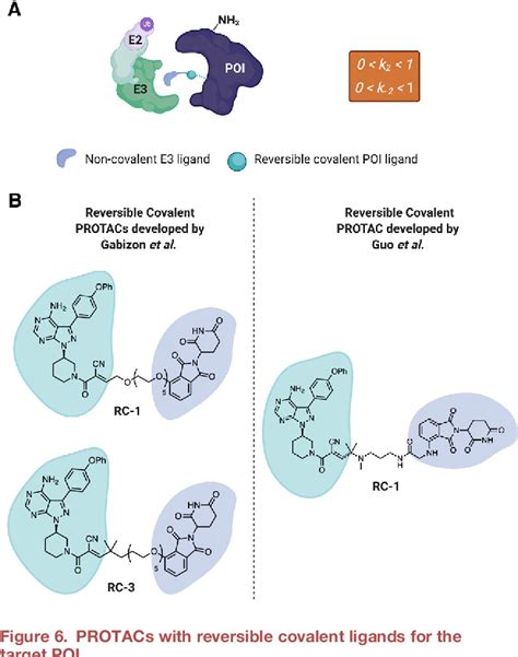 Figure From The Role Of Reversible And Irreversible Covalent