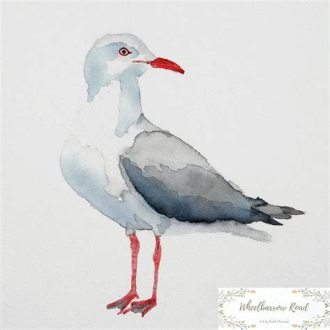 Seagull Watercolour Seagull Painting Seagull Wall Art Etsy Australia