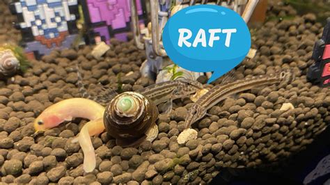 【raft】ハードな漂流ライフ2 参加型だぞ！【漂流生活】 Youtube