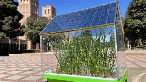 This tiny greenhouse might change agrivoltaics | Popular Science