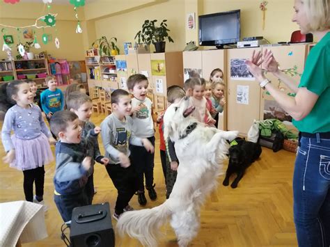 Kutyás terápia az óvodában - A fiatal város, az ősi település