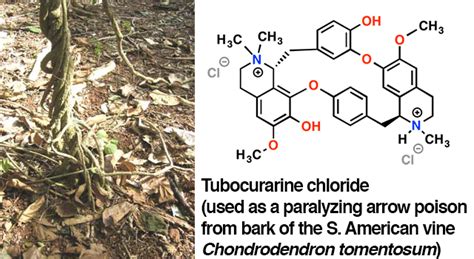 A Gallery Of Some Interesting Molecules From Nature