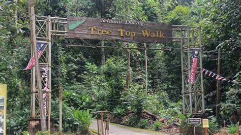 Tree Top Walk Sungai Sedim Lokasi Aktiviti Harga Tiket 2025