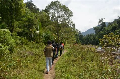 Pesona Dan Daya Tarik Air Terjun Nyarai Mulai Dari Trekking Hingga