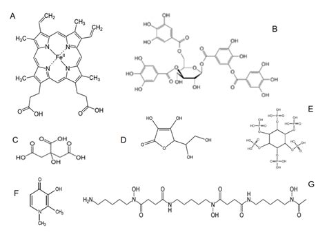 The Chemical Structure Of Molecules Involved In Iron Absorption Haem Download Scientific