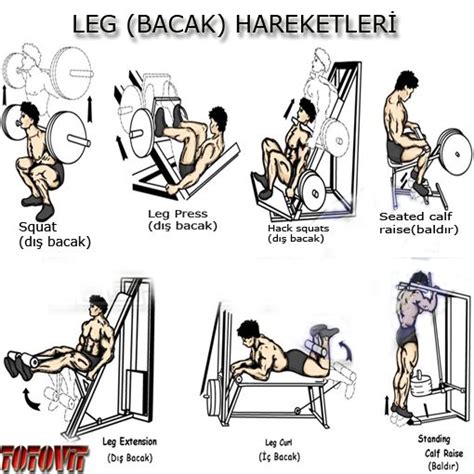 Leg Bacak Hareketleri Fitness Egzersizleri Squat Egzersiz