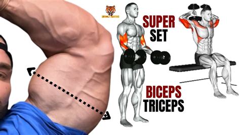 8 Best Biceps And Triceps At Gym Superset Triceps And Biceps Youtube