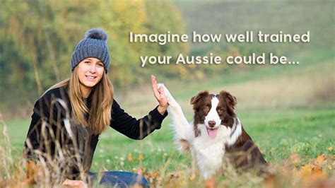 These Dog Training Videos Will Transform Your Aussie