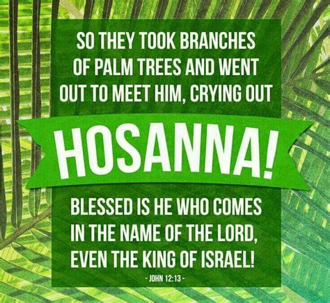 Palm Sunday John 1213 Palm Sunday Palm Sunday Quotes Happy Palm