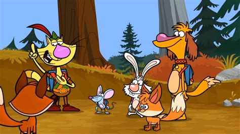 Sammygallery Nature Cat Wikia Fandom Powered By Wikia