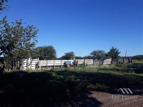 Campo En La Pampa A Km De De Rio Colorado Y La Adela Sobre Ruta