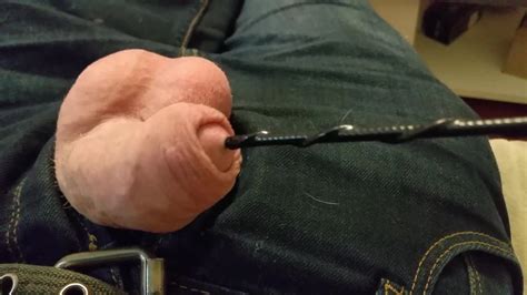 Mon Sexe Au Repos Free Man HD Porn Video C XHamster