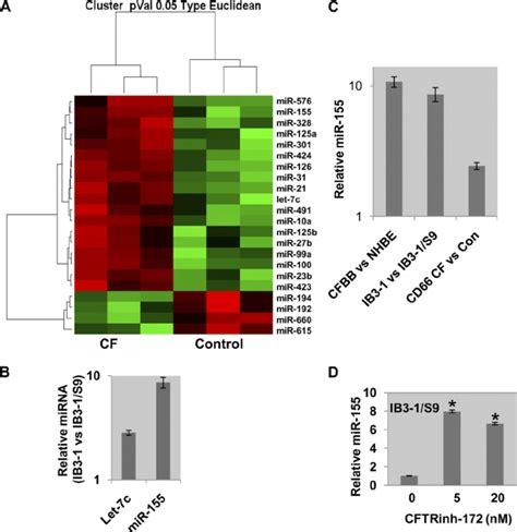 Mirna Expression Profile In Cf Cells A The Mirna Expression Profile