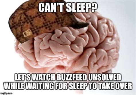 Scumbag Brain Meme Imgflip