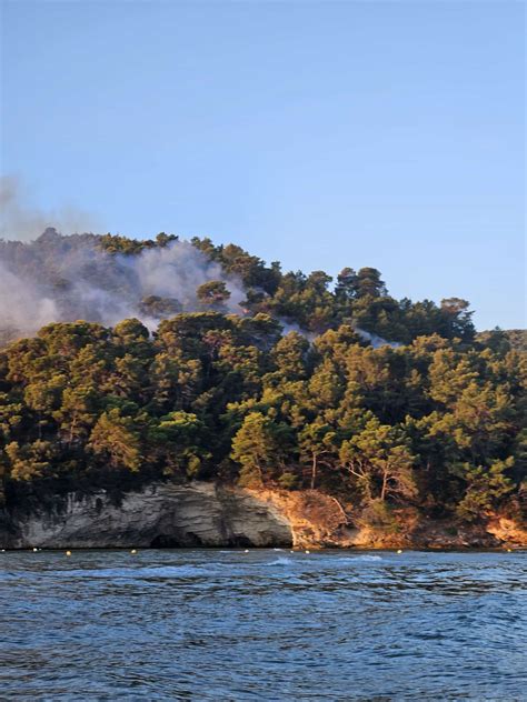 Incendio A Vieste Fiamme Nel Bosco Di Baia San Felice Evacuato