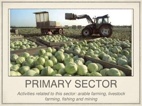 Primary, Secondary and tertiary sector 