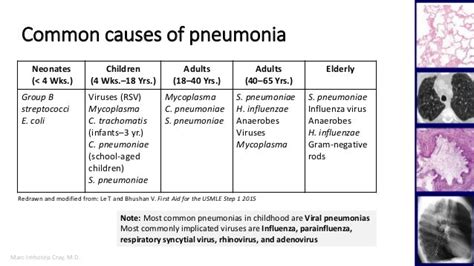 Bacterial pneumonia pharmacology