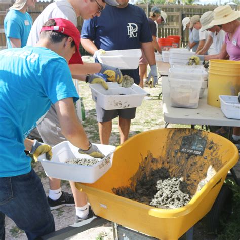 Florida Oceanographic Society | Oyster Reef Restoration Project - FULL