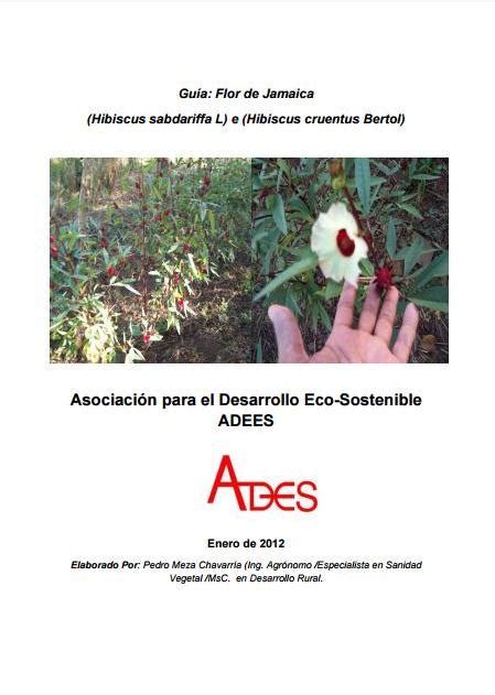 Cultivo De Jamaica Libros De Agronomia Gratis Pdf