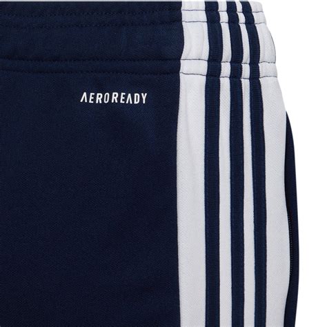 Adidas Squadra 21 Trainingshose Kinder Team Navy Blue Kaufen Im Sport